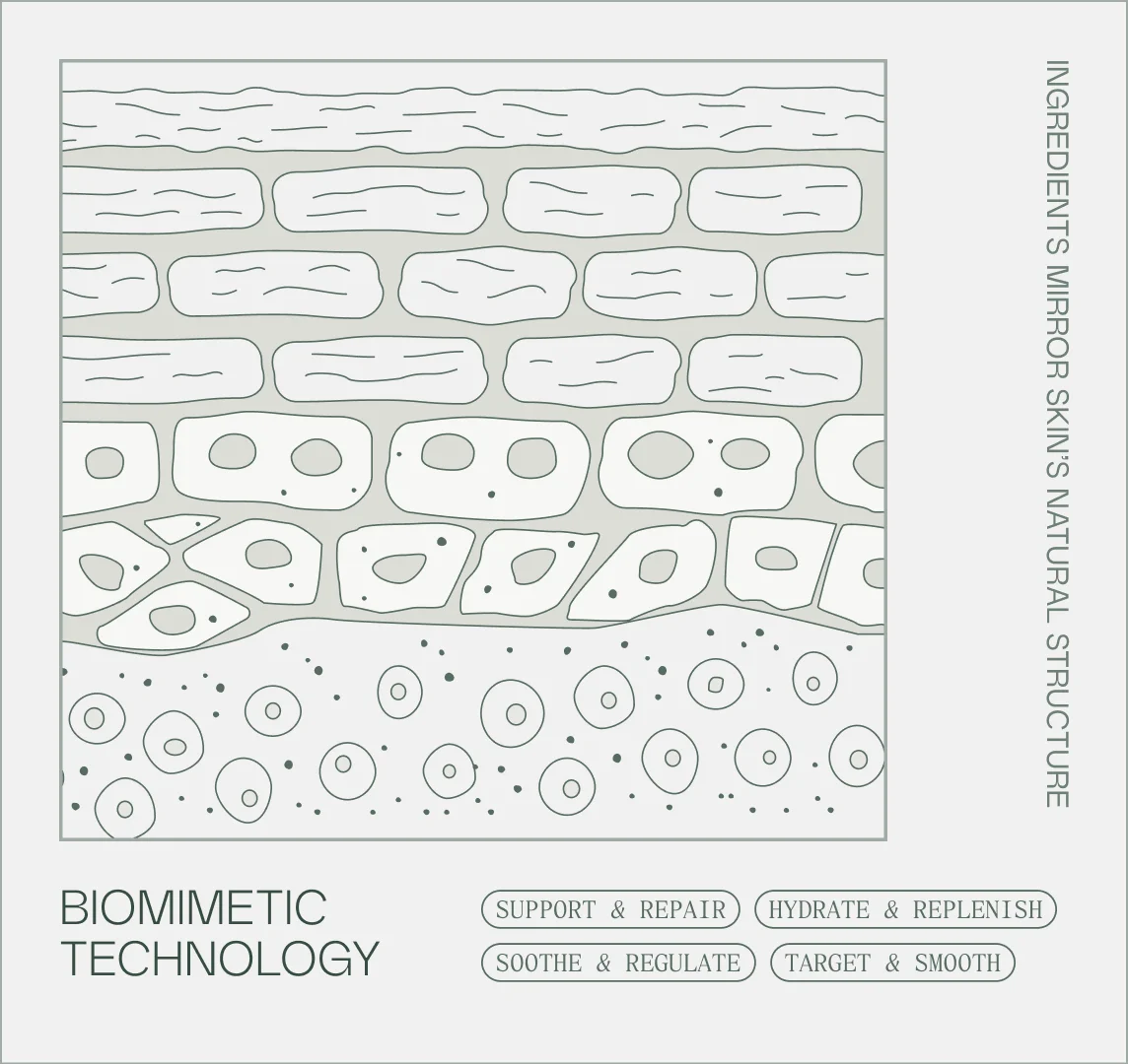 Biomimetic Technology - Ingredients mirror skin's natural structure